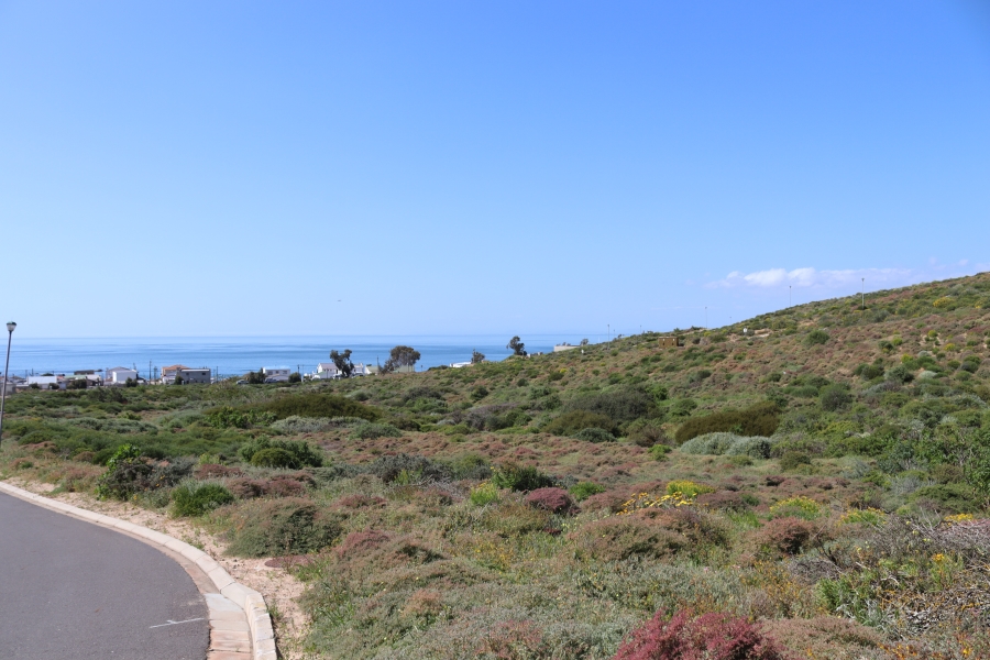 0 Bedroom Property for Sale in Steenbergs Cove Western Cape